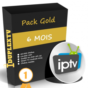 IPTV Subscription Premium